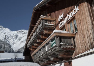 Der Steinbock Frontansicht