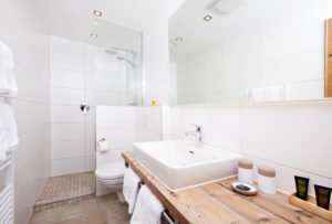 Shower / WC in the Classic Double Room