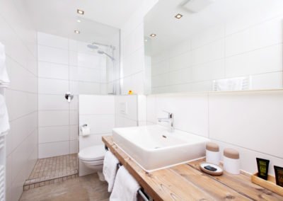 Shower / WC in the Classic Double Room