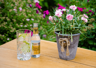 Sonnbichlbar-tonic-water