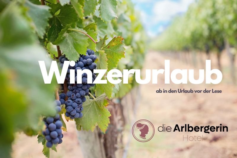 Winegrowers’ trip – off on holiday before the harvest